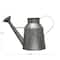 Hello Honey® 12.5" Galvanized Metal Watering Can